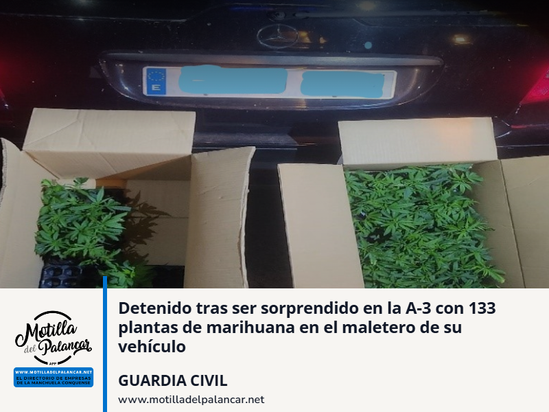 Detenido tras ser sorprendido en la A-3 con 133 plantas de marihuana en el maletero de su vehículo - imagen 1