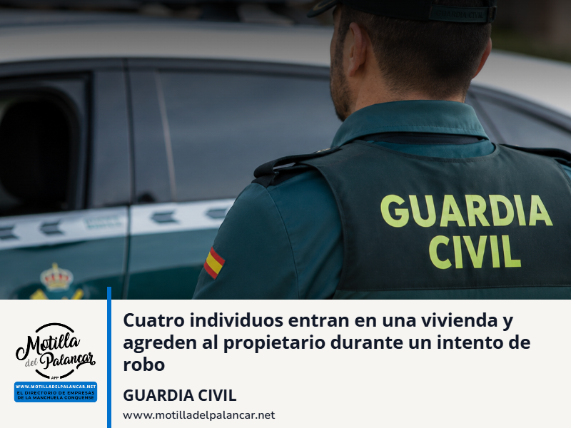 Cuatro individuos entran en una vivienda y agreden al propietario durante un intento de robo - imagen 1