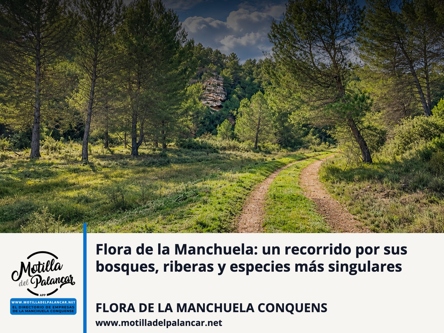 Flora de la Manchuela: un recorrido por sus bosques, riberas y especies más singulares - imagen 1