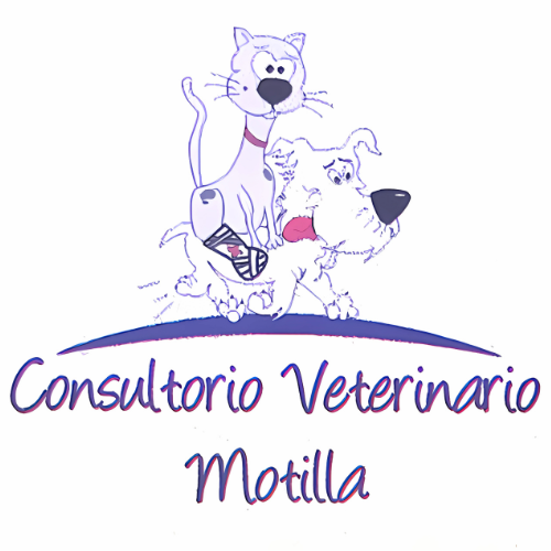 Logoveterinaria motilla